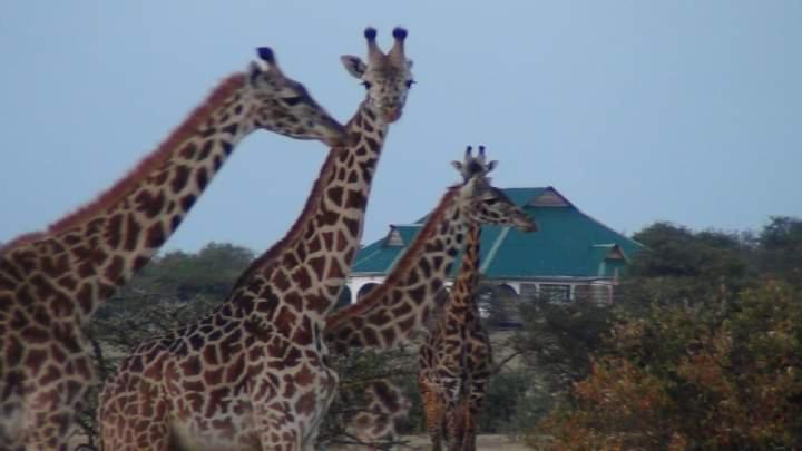 Narasha Homestay - Maasai Mara Talek Экстерьер фото