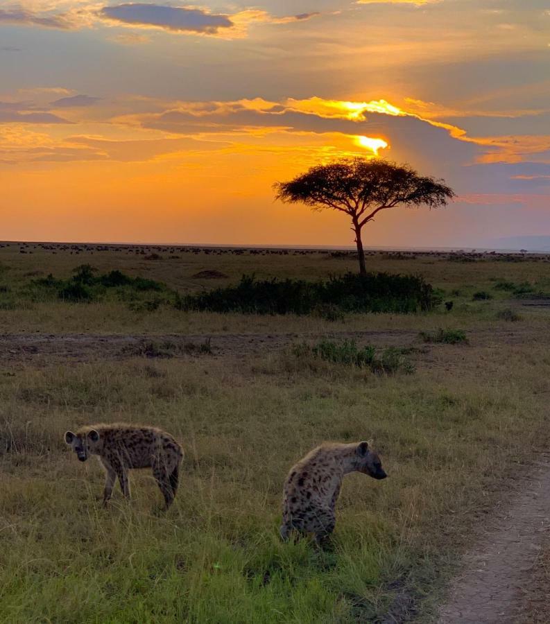 Narasha Homestay - Maasai Mara Talek Экстерьер фото